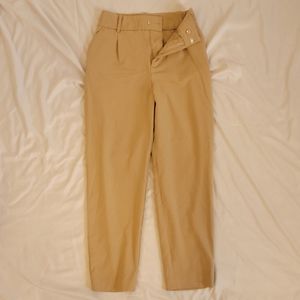 Zara High Waisted Trousers